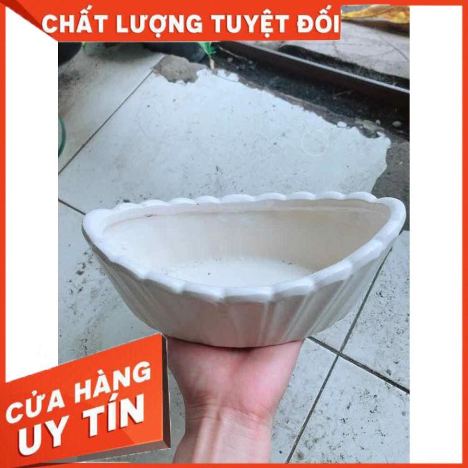 Chậu Trồng Cây Nhiều Người Mua