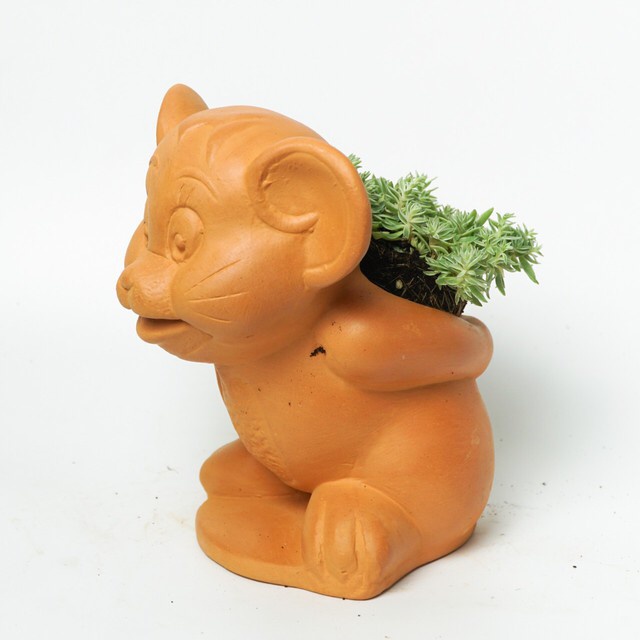 Chậu Trồng Cây - TC26