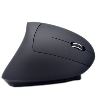 Chuột không dây Chống Đau Khớp Khuỷu Tay ERGONOMIC - King Of Prussia