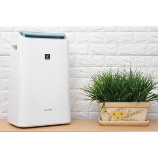 Máy lọc không khí Sharp DW-E16FA-W