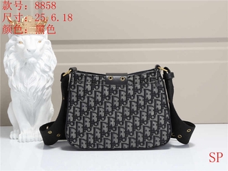 Túi Xách Nữ Dior Thời Trang Hàn Quốc