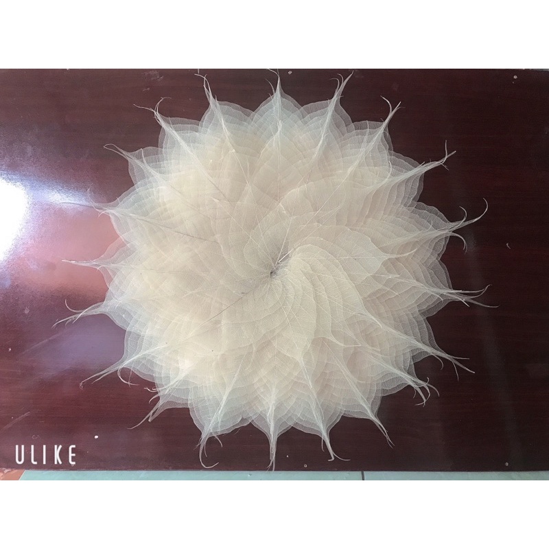 set 150 xương lá Bồ đề tự nhiên