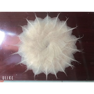 Xương lá Bồ đề tự nhiên