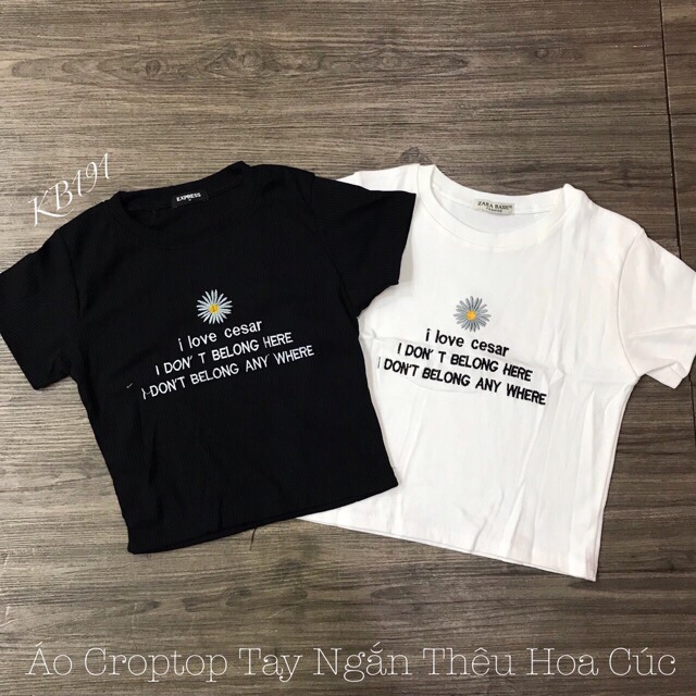 Áo phông ngắn coptop chất liệu cotton