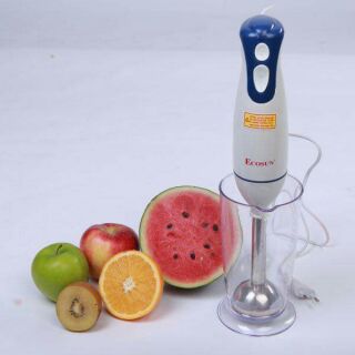 Máy xay sinh tố cầm tay ecosun bm-xb31