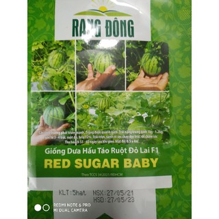 Hạt giống Dưa hấu táo mini ruột đỏ lai F1 ( 5 hạt )