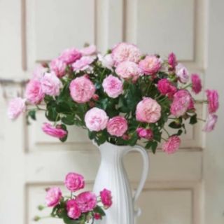 Bình sữa cắm hoa (nhiều mẫu)