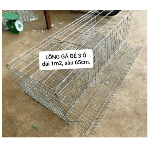 LỒNG GÀ ĐẺ 3 NGĂN, lồng nuôi gà công nghiệp