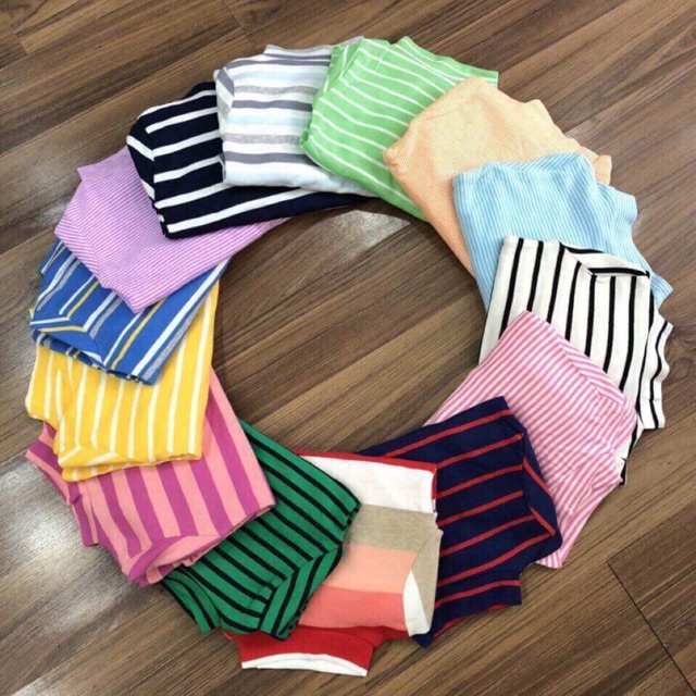 Combo bộ cotton len cổ 3 phân