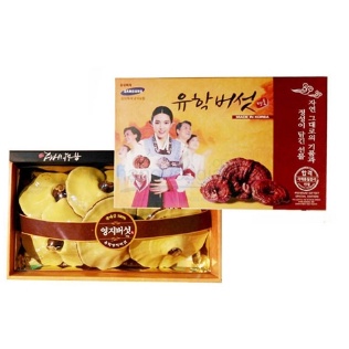 Nấm Linh Chi hộp cô gái