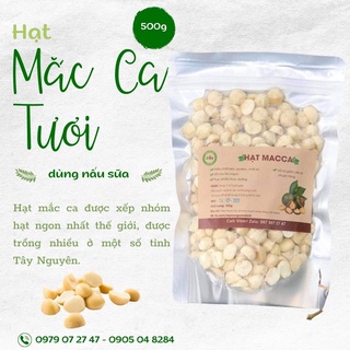 Hạt Macca Rẫy Đaklak nhân tươi dùng nấu sữa/làm bánh