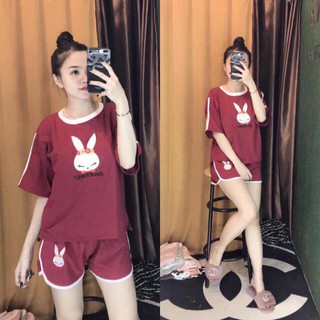 Bộ đồ thun hình thỏ chất siêu đẹp