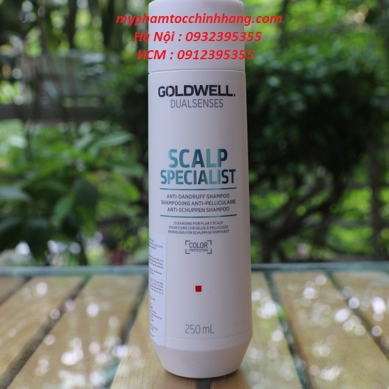 Gội cho da đầu gầu Goldwell Dandruff 250ml