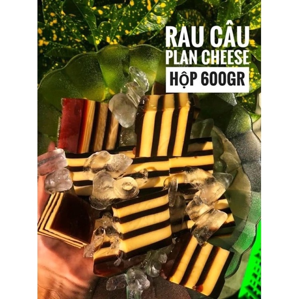 rau câu bánh plan phô mai