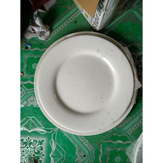 5 ĐĨA SỨ TRẮNG 20CM