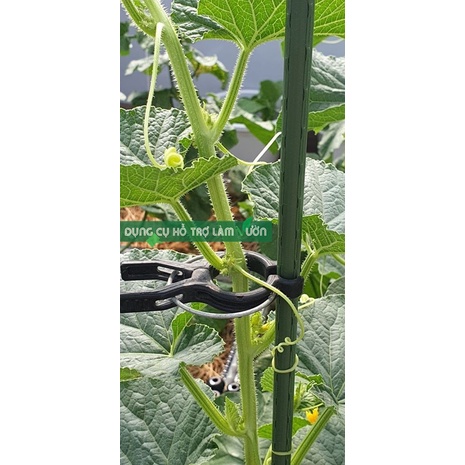10 ống thép bọc nhựa dài 120cm chuyên dùng cắm chống đỡ cho cây