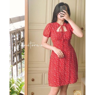 ĐẦM HOA CỘT NƠ CỔ