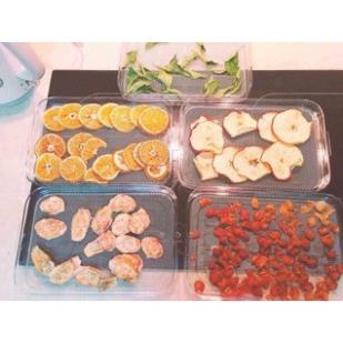 DLIENHOA - Máy sấy hoa quả, thực phẩm WMF 5 tầng