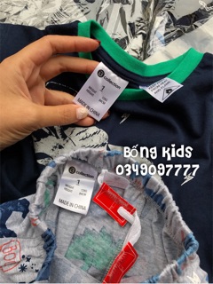 Bộ Hè Bé Trai Khủng Long Bcollection
