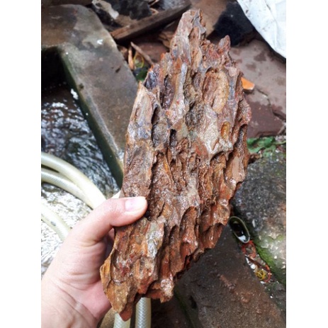 5kg đá tiger Đá trang trí bể cá