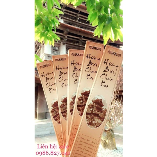 Hương Bài Chùa Keo , 50 nén, 36cm