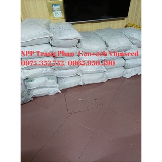 [ Túi 10kg] Gạo ST25- Chuẩn Vinaseed