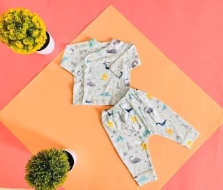 BỘ SƠ SINH AVALER VẢI COTTON THU ĐÔNG