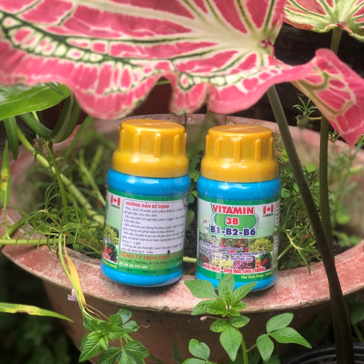 Vitamin 3B  Chống sốc, giải độc, điều hòa sinh trưởng cho Lan và cây cảnh 100ml