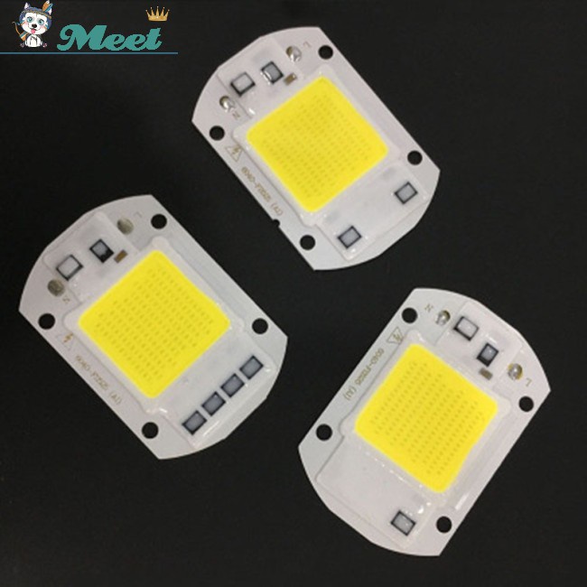 220V LED Floodlight 20W/30W/50W White/Warm Driver Smart Integrated Light Chip COB IC