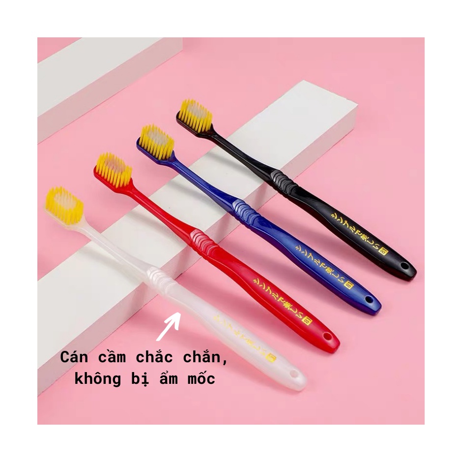 Hộp 12 bàn chải Nhật Bản cao cấp, lông mềm ăn sâu vào kẽ răng sạch mảng bám