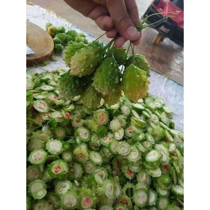 Khổ qua rừng sấy khô (mướp đắng)  500g cho người cao huyết áp, nóng trong | BigBuy360 - bigbuy360.vn