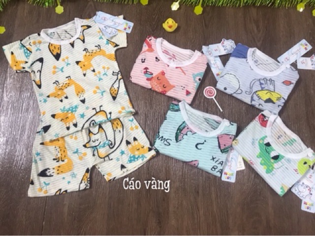 ( XẢ HÀNG ) Bộ cotton cộc  sợi tre Cho bé