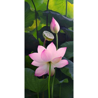 Tranh dán tường hoa sen đẹp LV-0168 kích thước 60 x 120 cm
