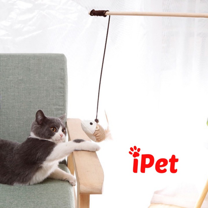 Đồ Chơi Cần Câu Gỗ Cho Thú Cưng Chó Mèo - iPet Shop