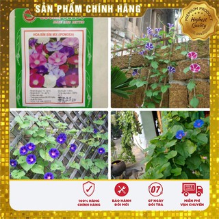 Bộ gói hạt giống Bìm (hoa bìm bìm)