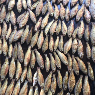 Cá rúi sấy hồ thác bà (1kg)