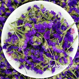 100G TRÀ FORGETMENOT CHỌN LỌC