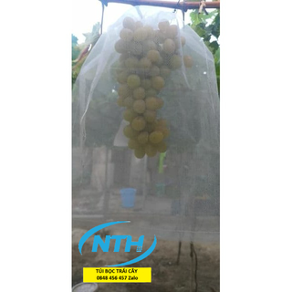 COMBO 100 TÚI BỌC,BAO BƯỞI, NHO,XOÀI DƯA LƯỚI,BƠ 034 ,SẦU RIÊNG LOẠI TỐT - TÚI BỌC CÁC LOẠI TRÁI CÂY