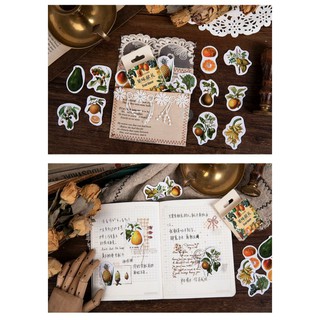 HỘP STICKER FRUIT FLAVOR
