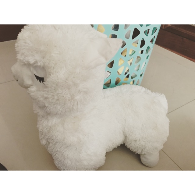 CỪU AMUSE ALPACA