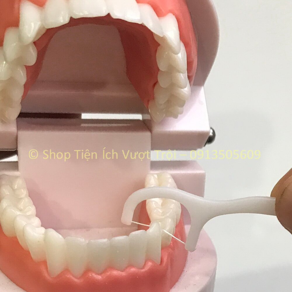 Tăm chỉ nha khoa làm sạch khe kẽ răng, hộp to,túi to chi phí thấp, lấy thức ăn giắt trong khe kẽ răng-Tiện Ích Vượt Trội