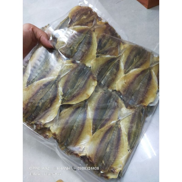 Cá Chỉ Vàng ,Cá mờm cơm