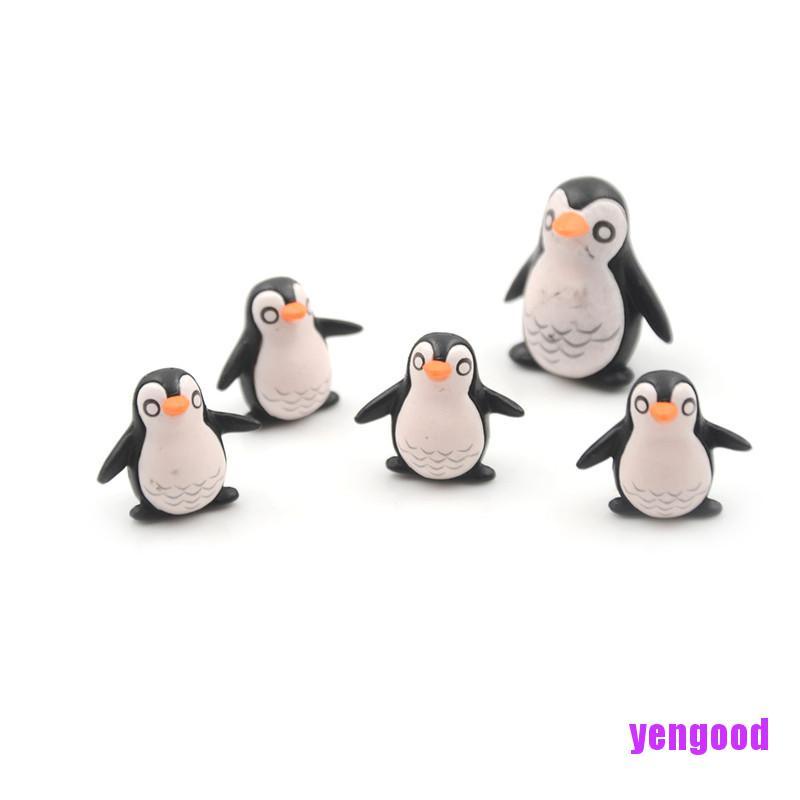 Bộ 5 Mô Hình Chim Cánh Cụt mini Trang Trí Nhà Búp Bê