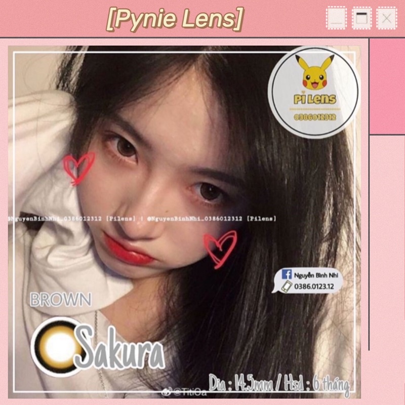 💙 𝐿𝑒𝑛𝑠 𝑆𝑎𝑘𝑢𝑟𝑎 💙 Xám nâu viền đen giãn tròng to búp bê 🌧 Pynielens ✨