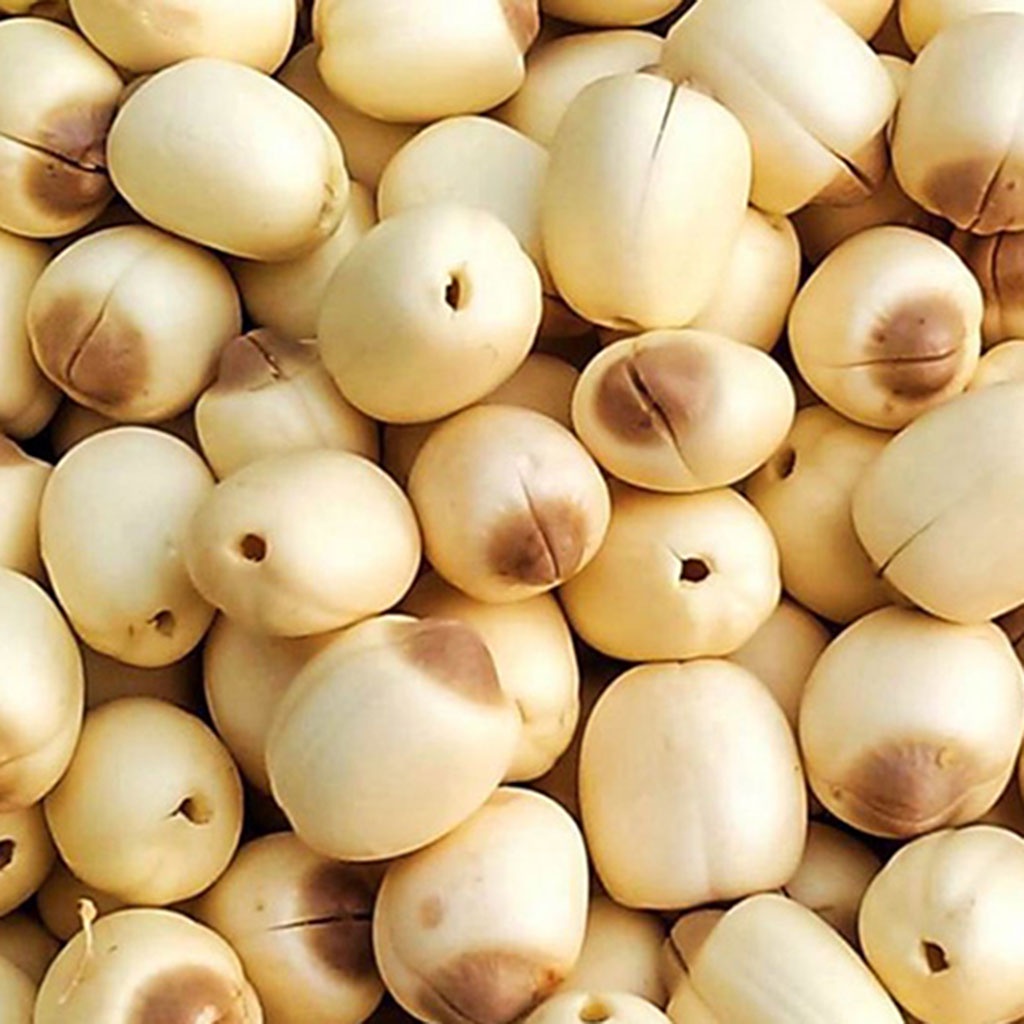Bột Hạt Sen Sấy Lạnh Bột Rau Củ Cho Bé Ăn Dặm Thơm Ngon Giàu Dinh Dưỡng Tốt Nhất Cho Con Babyrice 125