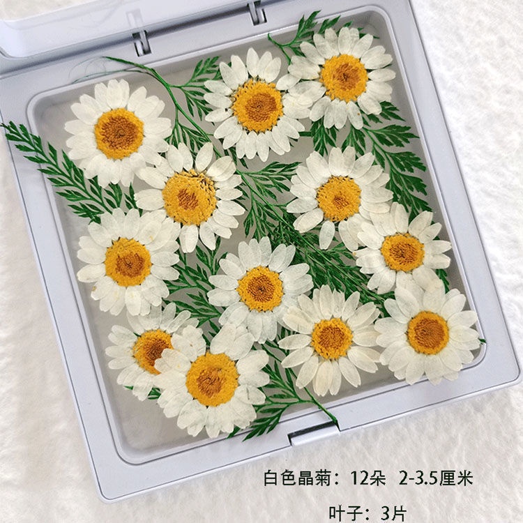 Miếng Dán Trang Trí Hình Cánh Hoa Cho Cô Dâu