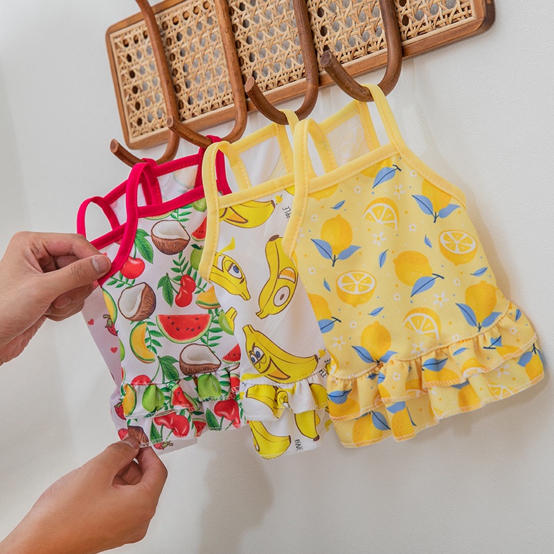 Đầm thời trang mùa hè xinh xắn dành cho cún cưng