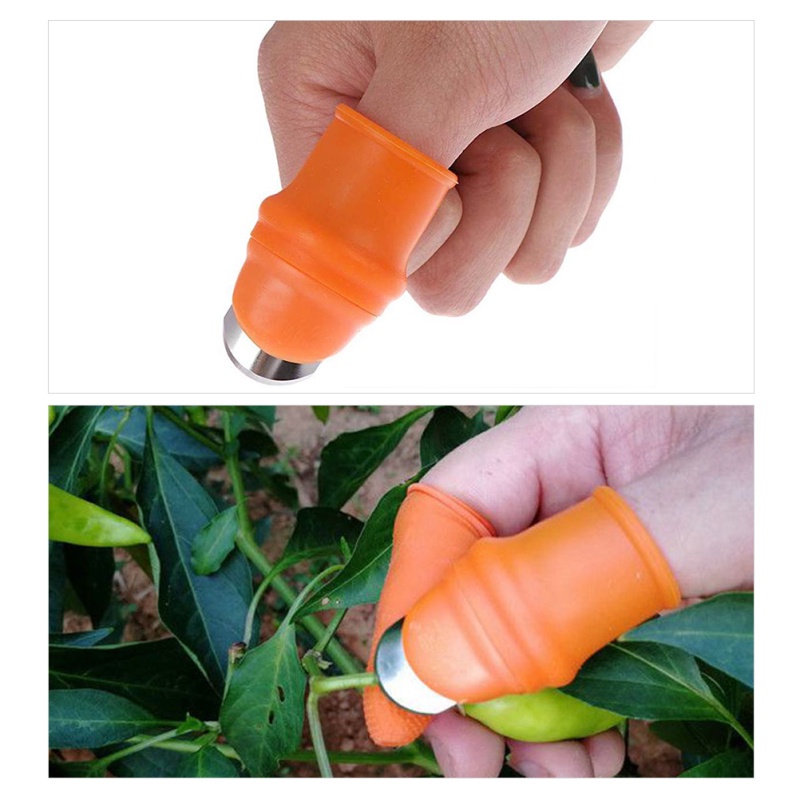 Bộ Dụng Cụ Tách Vỏ / Bảo Vệ Ngón Tay Khi Thái Rau Củ Quả