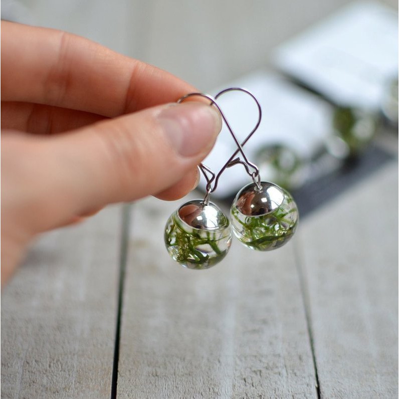 Rêu Các Màu Làm Trang Trí Handmade [MỚI]