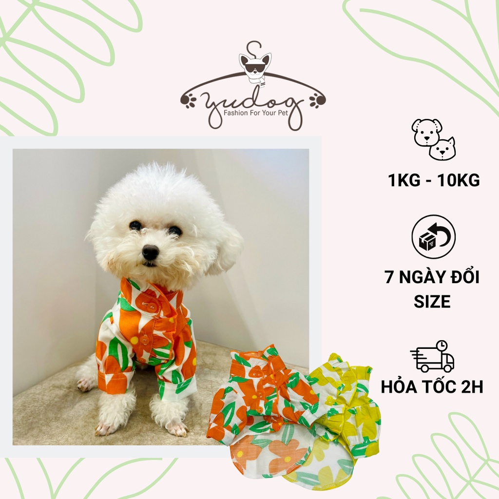 Sơ mi cho chó mèo - Sơ mi hoa cổ bèo cho chó mèo yudog